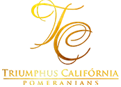 Triumphus California